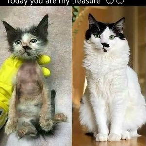 BUYING FROM ME HELPS MY ANIMAL SANCTUARY. YOUR BUSINESS IS IMPORTANT TO ME ❤️